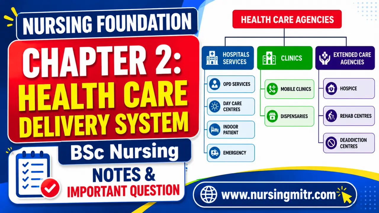 Health Care Delivery System, Nursing Foundation Unit 2 BSc Nursing Notes