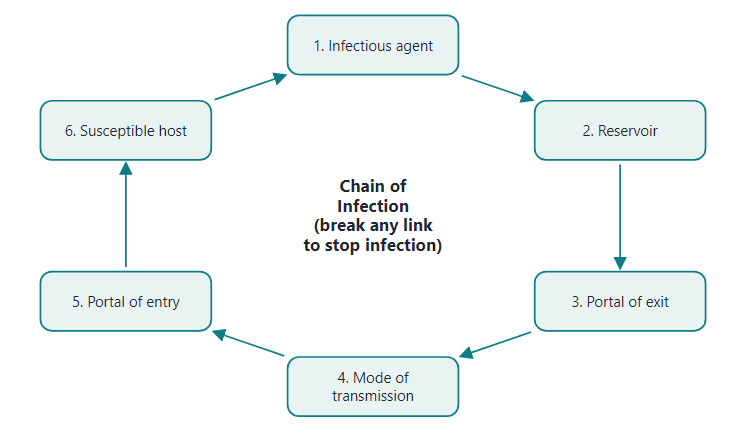 Chain of infection: six links. Breaking any one link stops the spread (hand hygiene, cleaning and disinfection)
