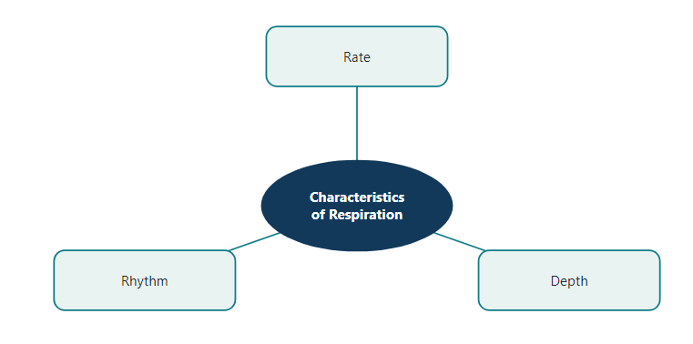 Characteristics of respiration