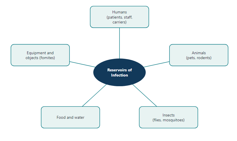 Common reservoirs of infection