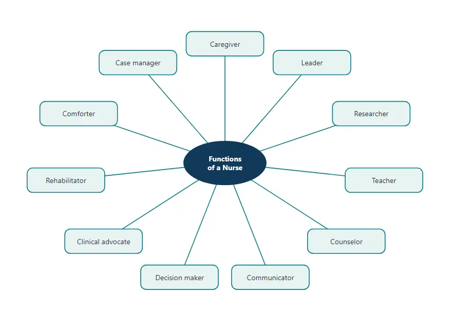 Eleven roles and functions of a nurse