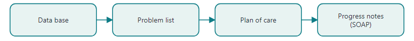 Four basic components of the Problem Oriented Medical Record