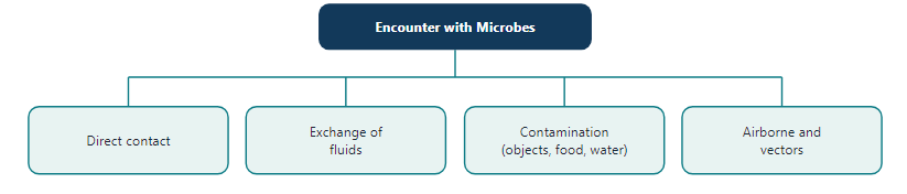 How a person encounters microbes