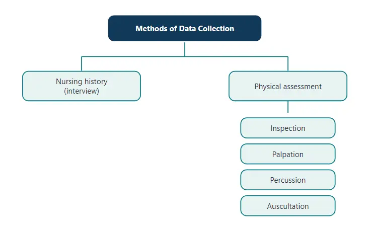 Methods of data collection. The four physical assessment methods are IPPA
