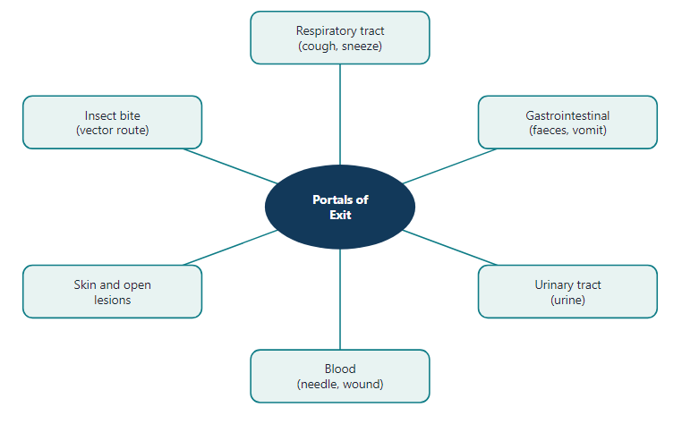 Portals of exit of microorganisms