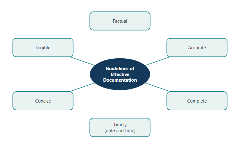 Six guidelines of effective documentation