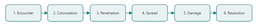 Six stages of infection