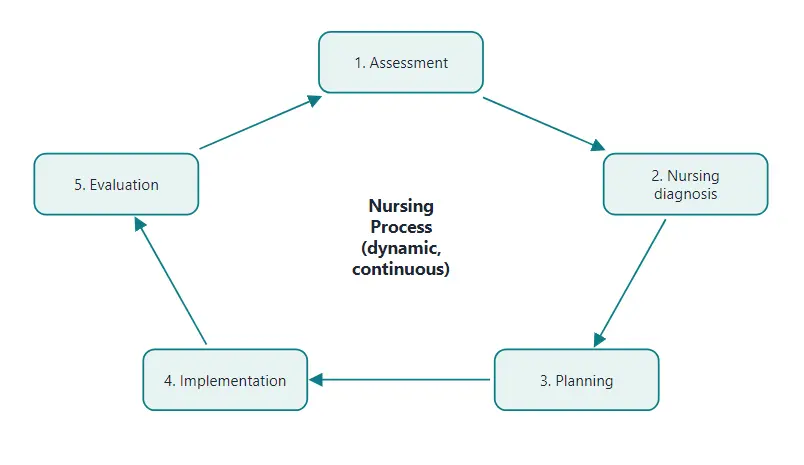 The five steps of the nursing process form a continuous cycle