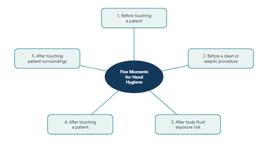 WHO My Five Moments for Hand Hygiene
