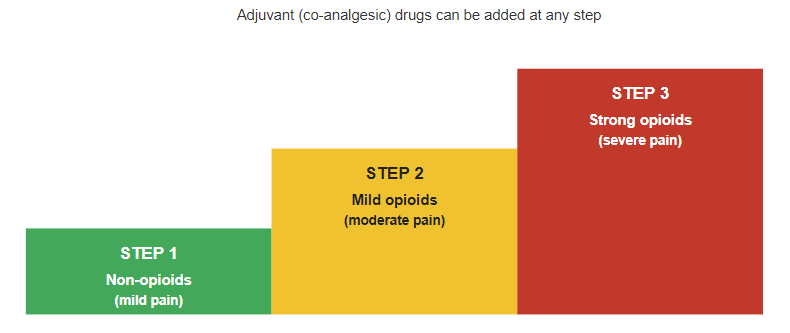 WHO analgesic ladder (simplified)