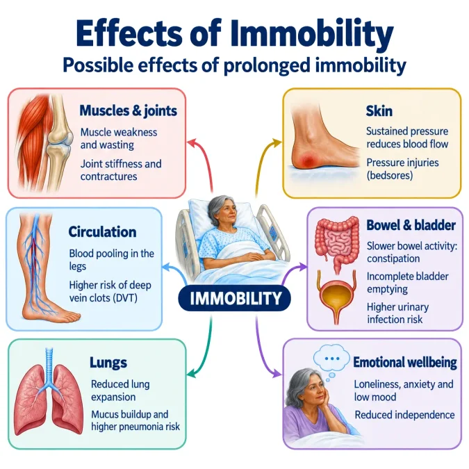 Diagram showing how immobility can affect muscles and joints, circulation, lungs, skin, bowel and bladder function, and emotional wellbeing.