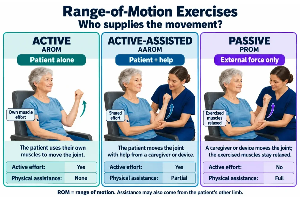 Comparison of active, active-assisted, and passive range-of-motion exercises according to who supplies the movement.